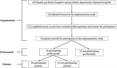 E-mental health implementation in inpatient care: Exploring its potential and future challenges